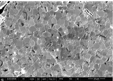 Fig. 1. SEM picture of the U 0.75 La 0.25 O 2-x  sintered pellet 