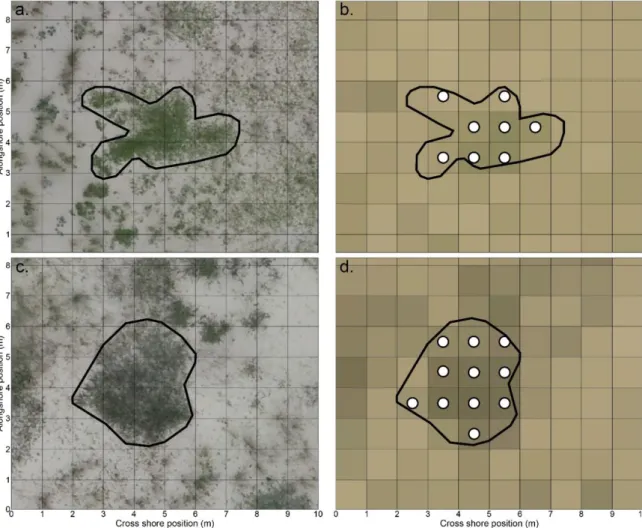 Figure 2. Zoom in on a Galium arenarium patch using (a) a 0.02 m resolution unmanned aerial vehicle  (UAV)  orthomosaic  and  (b)  a  1  m  resolution  airbornepseudo-color  VNIR  image