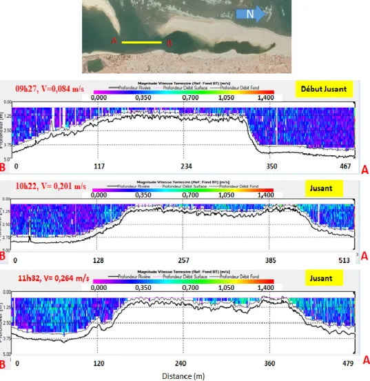 Figure 9. Profils de vitesse de courant (profil long-shore) durant une période de Jusant