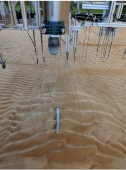 Fig. 8.  Ripple patterns observed after Test 8 with waves and currents. Image facing the beach with a  30 cm ruler on the mound remains for scale