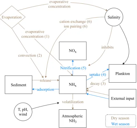 Figure 8.  A simplified conceptual model of the different processes that link evaporation and soil drying to NH 3