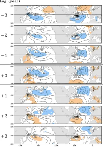 Fig. 5. (a) Lagged regression with 11-year cycle forcing for December–February mean SSTs in the simulation