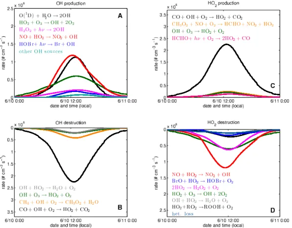 Fig. 12. OH and HO 2 production and destruction reaction rates in panels (a–d), including primary production, HO 2 to OH cycling reactions, and terminal loss processes on June 10, 2008.