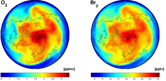 Fig. 10. Example of BASCOE O 3 and Br y volume mixing ratios in the northern hemisphere at a potential temperature of 475 ◦ K ( ∼ 60 mb), for the 1st March 2004 at 00:00 UT