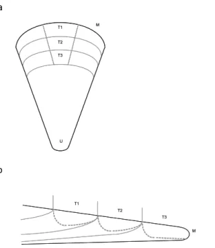 Fig. 2. Schematic representation of a shell to indicate the sampling approach for M. edulis and P