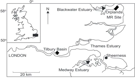 Fig. 1. Geographical location of Tilbury Basin, the Medway Estuary and Orplands Managed Retreat Site.