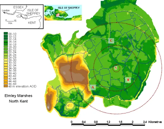 Fig. 1. The location of the study site relative to London is shown and the position of the Elmley marsh on the Isle of Sheppey is shaded on the insert map
