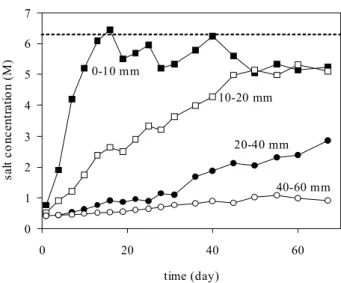 Fig. 4. Salt concentrations in soil water monitored by the four- four-electrode probes as functions of time at different depths.
