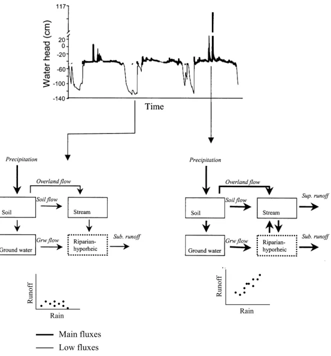 Fig. 8. Box representation of the hydrological components and fluxes in catchment including the riparian-hyporheic compartment during precipitation under dry (on the left) and wet (on the right) near-stream hydrological conditions.