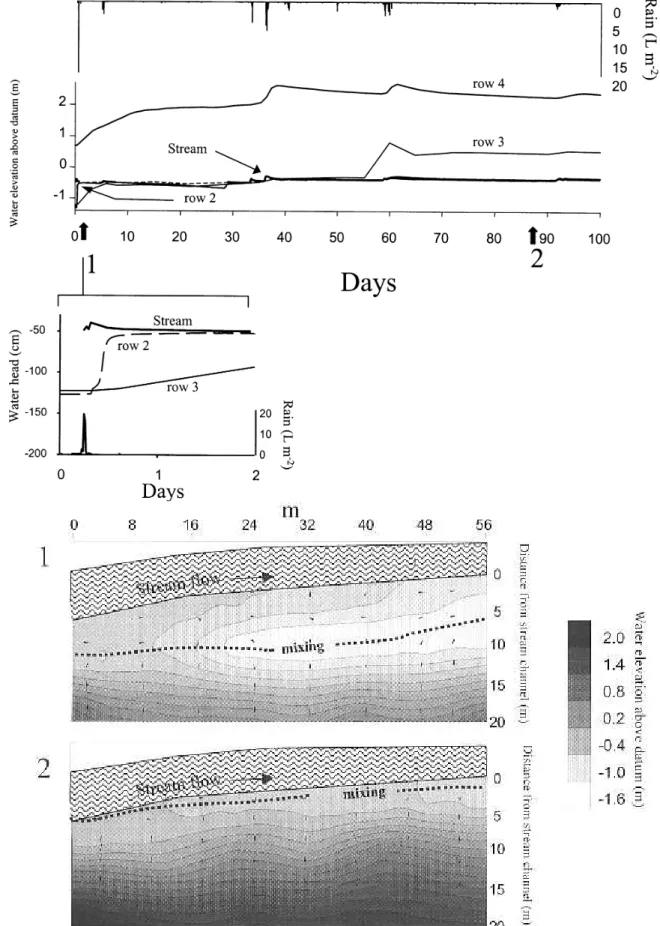 Fig. 6. Detailed temporal pattern of the stream, and groundwater levels from 14 th  September 1999 to 30 th  January 2000