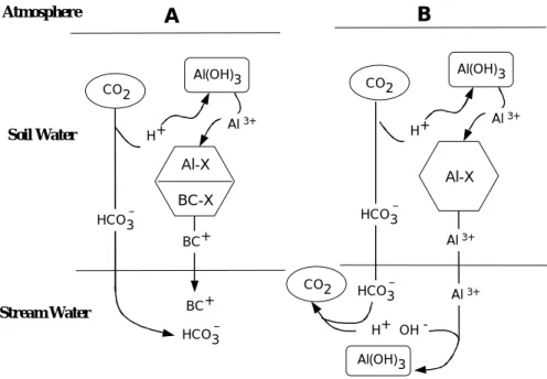 Fig. 3. Conceptual model of the influence of PCO 2  on (a) Export of exchangeable base cations (BC 1+ ) from soils with high base saturation and (b) Export of exchangeable Al (Al 3+ ) from soils