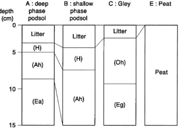Fig. 3. Profile of four different soil types present in the catchment