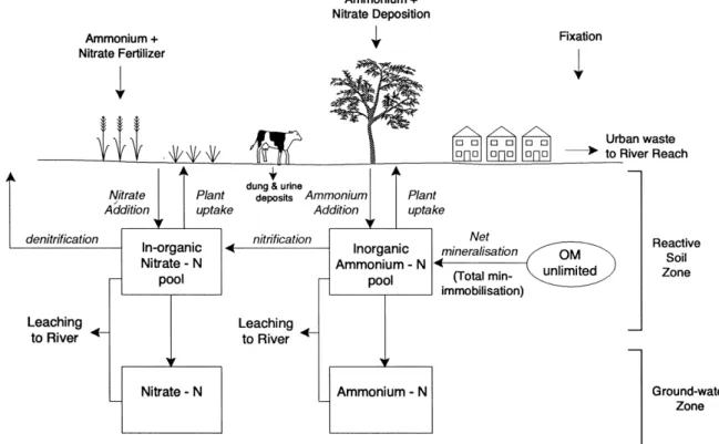 Fig. 6. Process structure of INCA Model terrestrial component (after Whitehead et al., 1998a) Published with permission of STOTEN, Elsevier.