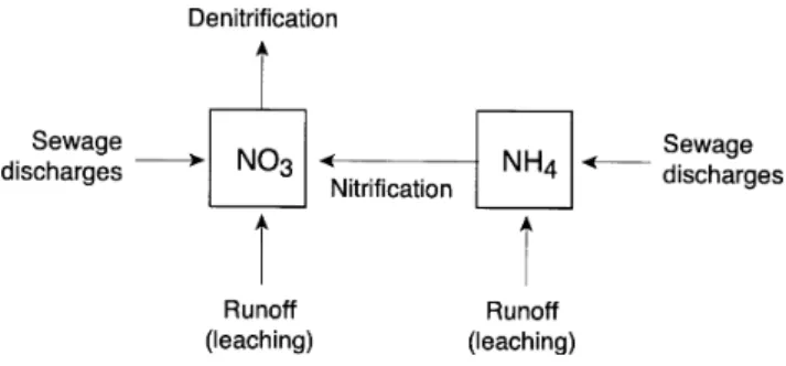 Fig. 3. Instream inputs and processes incorporated within INCA (source: Wade et al, 2001)