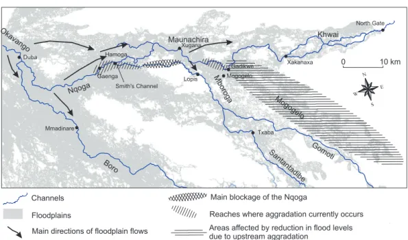 Fig. 7. Interpretation of flow system and its controls in the Nqoga distributary.