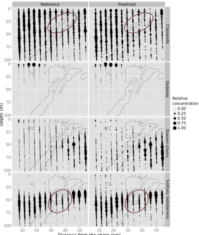Figure 3. Examples of some spatial distributions in the predicted dataset (right) that are well 385 