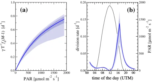 Fig. 4. Model parameters inferred for n = 1.06. (a) Inferred promotion rate as a function of PAR and (b) volume-average division rates as a function of hour of the day; the black line is the PAR