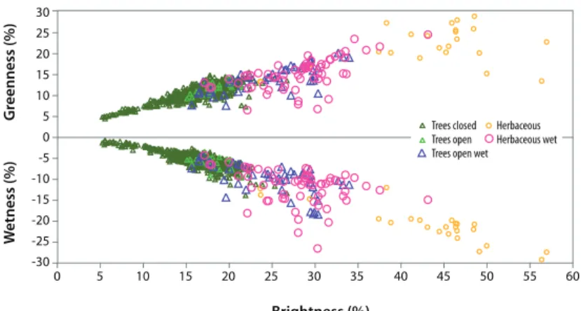 Fig. 3. Average reflectance of ground polygons in Tasselled Cap spectral indices of brightness, greenness, and wetness derived from Landsat ETM + 2 October 2000.