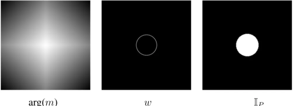 Fig 3 Optical parameters needed to compute the Impulse Response. From left to right: argument of the transparency function, weighting function and pupil’s indicator function