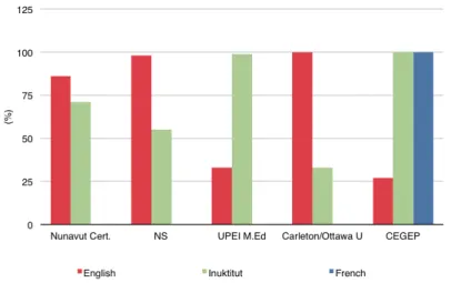 FIGURE 1.  Language fluency by program