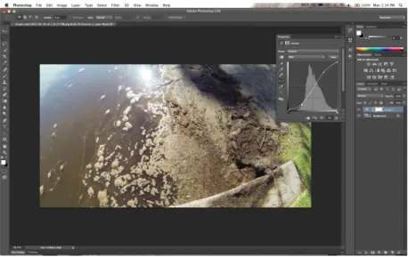 FIGURE 2.  Screen capture of the editing process 