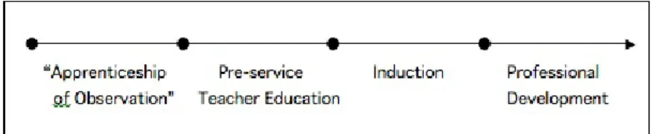 FIGURE 1.  The continuum of the education of teachers