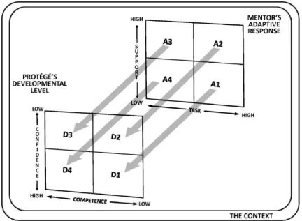 FIGURE 1.   Adaptive Mentorship © . (the mentor matches his/her adaptive response  to coincide with the skill-specific developmental level of his/her protégé.)