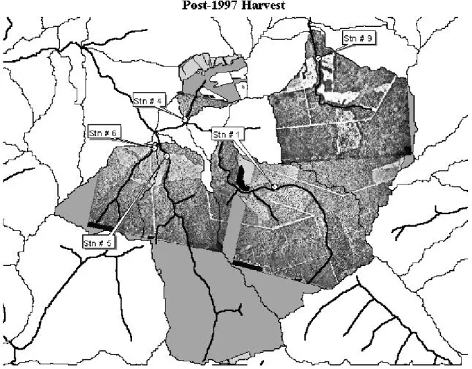 Fig. 3. Land-cover conditions following the 1997 harvest in sub-catchment four. Underlain are aerial photographs of parts of the Hayward Brook and Holmes Brook watersheds, illustrating some of these harvested areas as light-gray angular patches in a predom