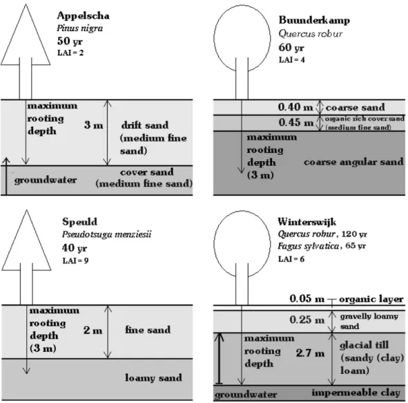 Fig. 1. Schematic overview of the four different sites