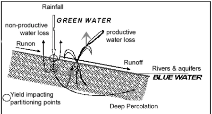 Fig. 2. At the ground surface the rainfall is partitioned between  the vertical  green water flow and the semihorizontal blue water flow.