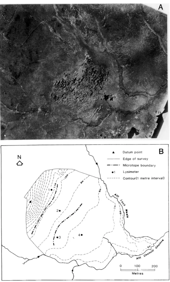 Fig. 2.  (A) air photograph of the Strathy site. (B) Contour map of the Strathy site. Contours derived from theodolite/EDM survey of points at intersections of a 50 m square grid; contour heights related to an (arbitrary) datum 20 m below ground level at t