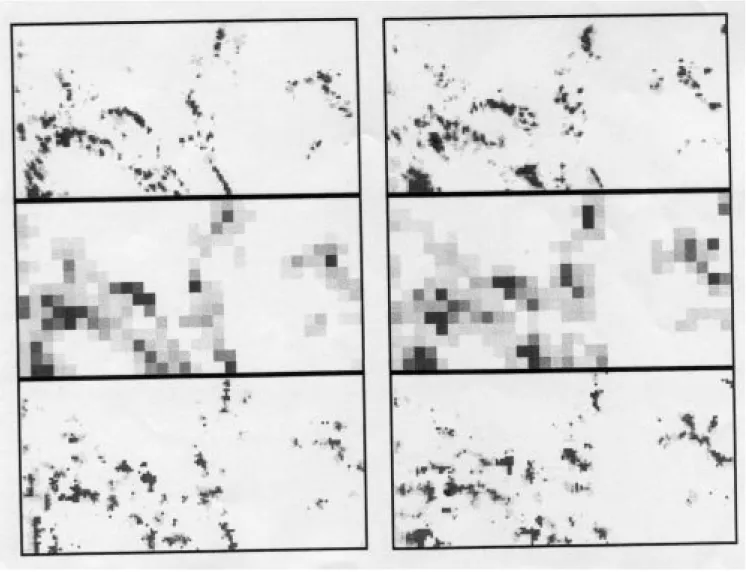 Fig. 9. Model output for full algorithm (a and b: 14/7/95 at 22:00 and 23:00) with for each: the observed field at pixel resolution at the top, the aggregated observed field in the middle and the modelled disaggregated field at the bottom.