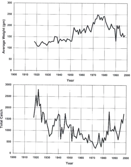 Fig. 7. Long-term trends in annual average weight and annual numbers of brown trout caught at Loch Riecawr (site 36) (Data provided with permission of Balloch Angling