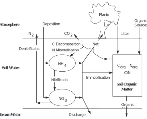 Fig. 3. Schematic illustration of the pools and fluxes included in MAGIC7 for use in simulating the dynamics of organic and inorganic N in soils.