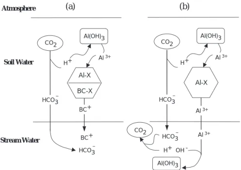 Fig. 1. Schematic illustration of the responses of the system of soil reactions included in MAGIC7 in the absence of acidic deposition: (a) with exchangeable base cations; and (b) without exchangeable