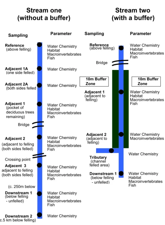 Fig. 4. Experimental design for a clearfelling study with and without buffer strips, at Mallow forest, Co Cork in spring 2000