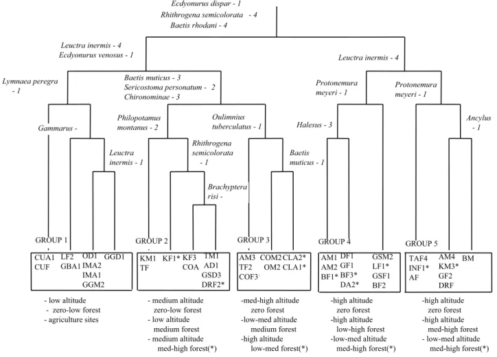 Fig. 6. TWINSPAN classification of spring macroinvertebrate communities from sites varying in land use across the Munster area