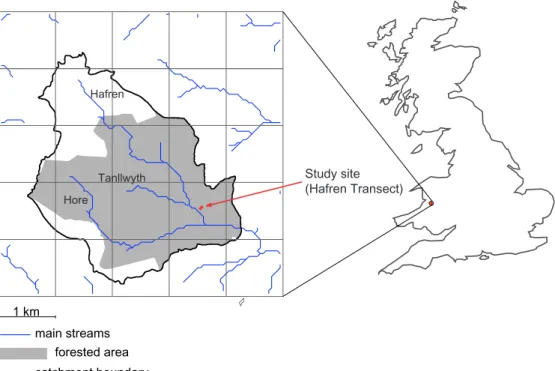 Fig. 1.   Location of the study site in the forested Hafren catchment, mid-Wales.
