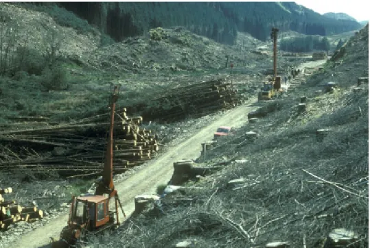 Fig. 4. Research has demonstrated the effectiveness of best practice in minimising the impact of clearfelling operations on the freshwater environment.