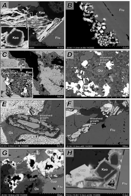 Figure 6. Back-sacattered electron images of mineral associations in the fluorite–U–V–Mo–P stringers  in the Aguachile area, Coahuila