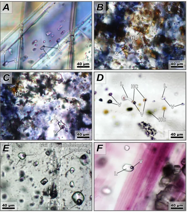 Figure 8. Photomicrographs of the analysed fluid inclusions for MVT-like (A to C) and late  hydrothermal fluorite deposits (D to F) in the Aguachile area, Coahuila