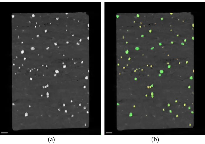 Figure 14. CT examination of silica-rich rock with disseminated iron oxides: (a) virtual cross section  through reconstruction in XZ-plane; (b) results of blob analysis, identified blobs are labelled green,  orange and yellow (colors are related to blob si