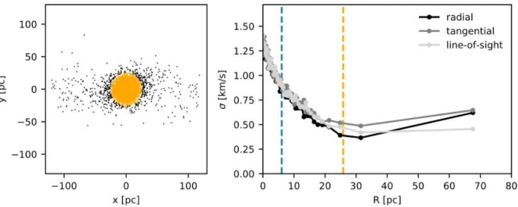 Figure 3. Projected view of a snapshot at 10 Gyr of a N-body simulation forming tidal tails (see Bianchini et al