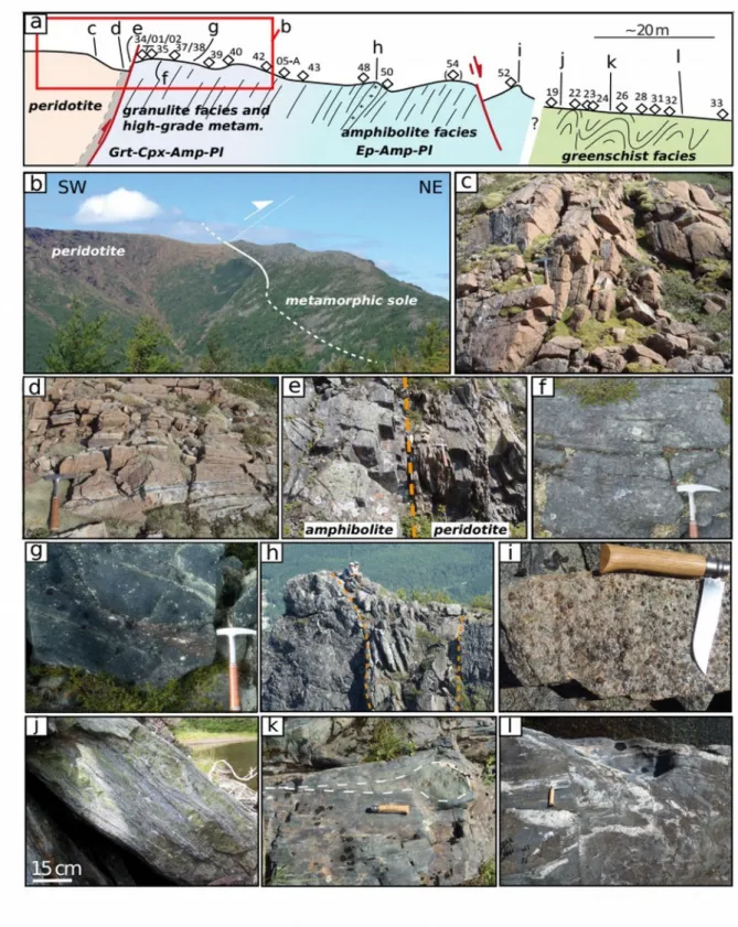 Figure 3: Representative geology of the base of the Mont Albert ophiolitic complex. (a) Schematic cross-section, indicating the position of samples presented in this study (diamonds and numbers) and the position of fields photographs underneath (letters)