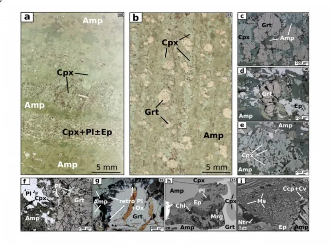 Figure 4: Typical aspect of high-grade amphibolite, with thin sections scans, microphotographs and SEM images