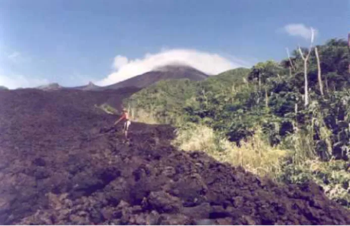 Fig. 2. (a) Indices of volcanic activity at the Main and South craters, Manam Island, for the eruptive sequence October – December 1996.