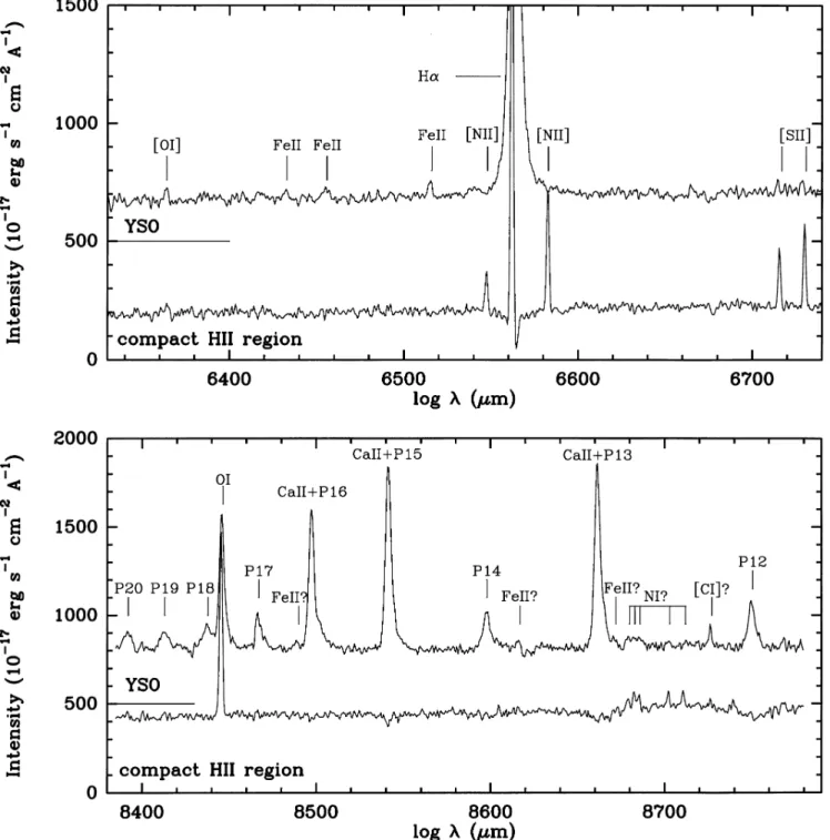 Fig. 7. Spectra of the two Hα emission objects around Hα and 8600 ˚ A. For both spectral ranges the zero intensity level of the YSO is shifted by 500 units