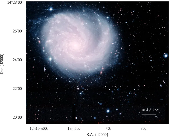 Fig. 1. Colour ugi RGB image of the galaxy NGC 4254 obtained using the NGVS data (Ferrarese et al