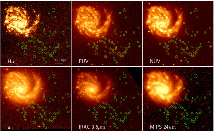Fig. 2. Multifrequency images of the galaxy NGC 4254 (north is up, east is left). Upper panels, from left to right: continuum- continuum-subtracted Hα (VESTIGE), FUV (GALEX), NUV (GALEX); lower panels: u-band (NGVS), IRAC 3.6 µm (Spitzer), MIPS 24 µm (Spit
