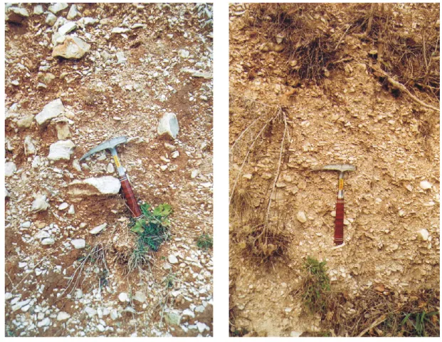 Fig. 5. Debris-flows deposits near the intersection point of Val di Licino fan.